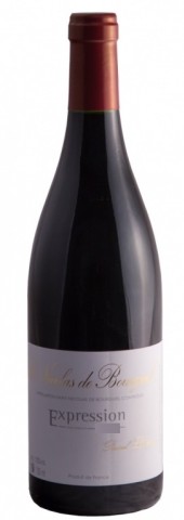 Saint Nicolas de Bourgueil Rouge, St Nicolas de Bourgueil Expression  (Vignoble Lorieux)