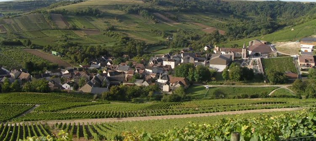 Domaine Henri Bourgeois