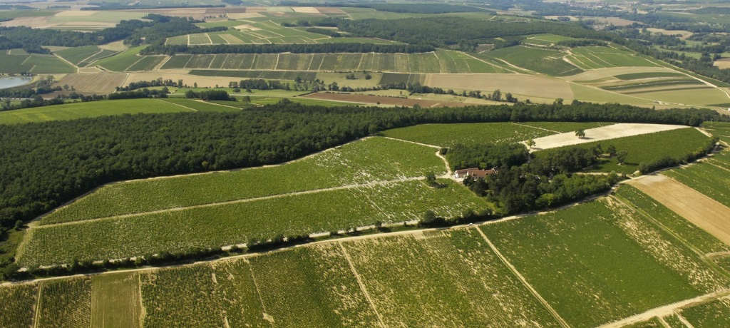 Vignoble Frédéric Prain