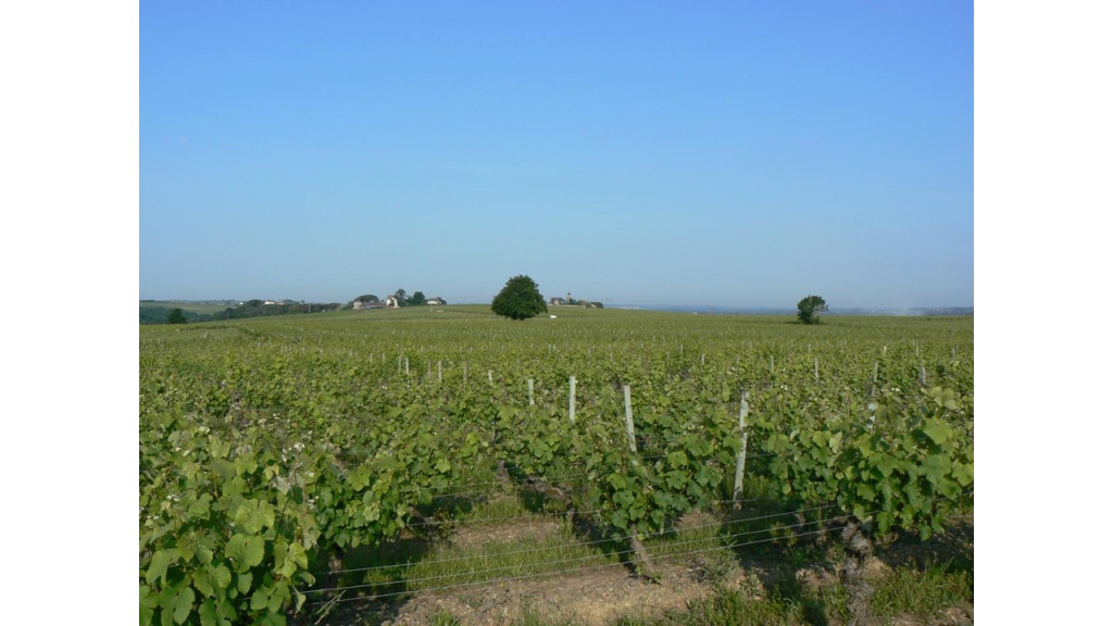 Domaine de la Guillaumerie