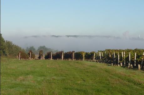 Domaine La Tour de Beaumont