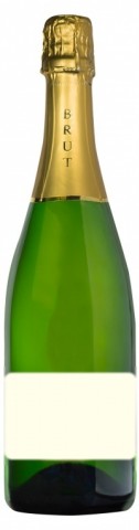 Blanc de Blancs  , Chateau Pizay Blanc de Blancs Méthode traditionnelle (Société des Vins de Pizay)